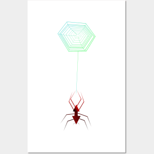 geometric spider hanging from the web Posters and Art